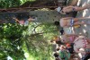 Passeio Geral 2017.2