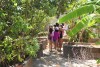 Passeio Geral 2017.2