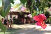 Passeio Geral 2017.2