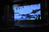 Pesquisa de Campo | Teatro