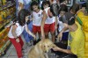 Aula de Campo | PetShop