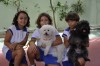 Aula de Campo | PetShop