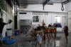 Noite do Pijama 2016