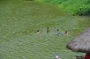 Passeio Geral 2017.1 YPArk